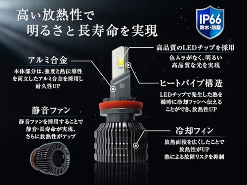 Amazon.co.jp: fcl.(エフシーエル): HB3